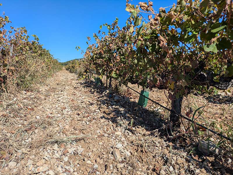 Irrigation Eau Brute